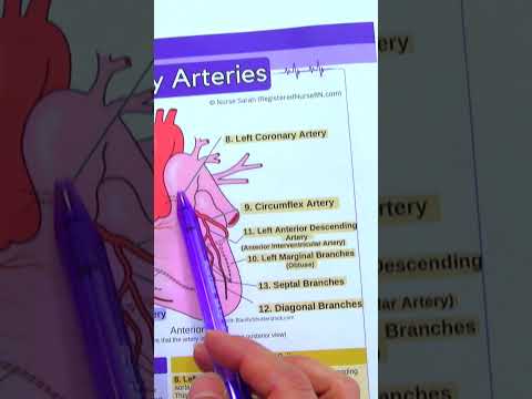 Nurse ASMR Sounds You ll Hear During Nursing Skills shorts asmr