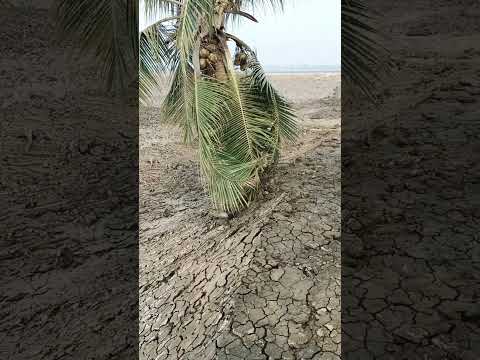 enjoy the voice of my son😘