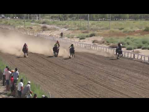 VASQUITO  Club Hípico Añelo - Añelo - Neuquén - 12-03-2023