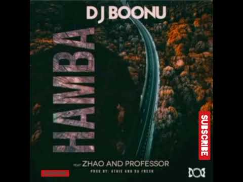 Dj Boonu Ft. Zhao & Professor ||Hamba||