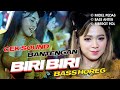 DJ BIRI BIRI BANTENGAN VIRAL TIKTOK TERBARU PALING DICARI UPIN IPIN VERSI MBEROT HOREG