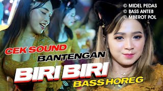 Download lagu DJ BIRI BIRI BANTENGAN - VIRAL TIKTOK TERBARU PALING DICARI - UPIN IPIN VERSI MBEROT HOREG mp3