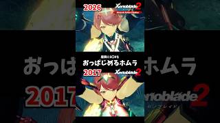 もう、それにしか見えん【ホムラ Xenoblade2 (ゼノブレイド2) Nintendo Switch 2 Edition】