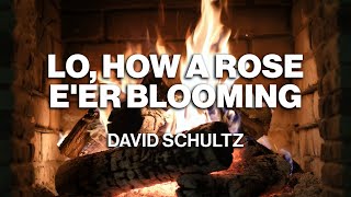 David Schultz – Lo, How a Rose E’er Blooming (Official Fireplace Video – Christmas Songs)