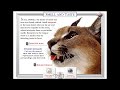 Eyewitness Virtual Reality Cat Walkthrough