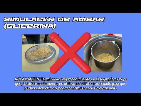 Réplica de Fósiles, alumnos de 3° año Col.22 J.M.Estrada. Unión, San Luis.
