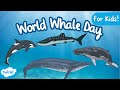 World Whale Day All About Whales For Kids