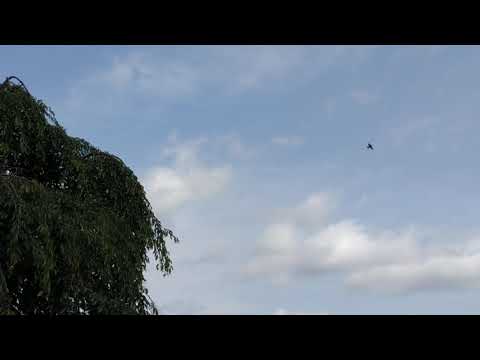Alex Barrios tumbling tumbleweed