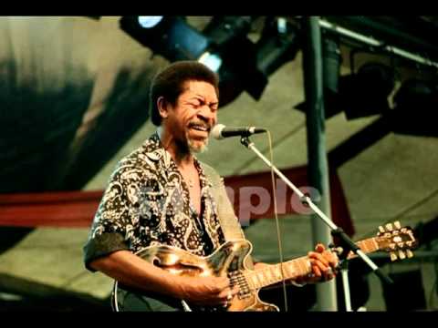 You've Been Teasin' Me - Luther Allison