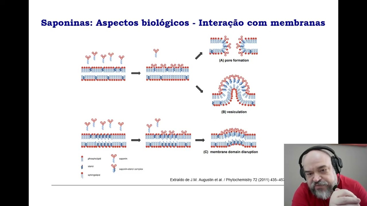 Saponinas