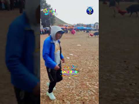 Toros y Chutas así se Vive la Fiesta en Caquiaviri