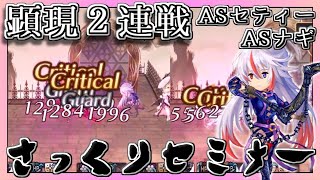 【アナデン】【顕現】風PTさっくり攻略セミナー VS.ASナギ&ASセティー２戦目!!【アナザーエデン】【Another Eden】