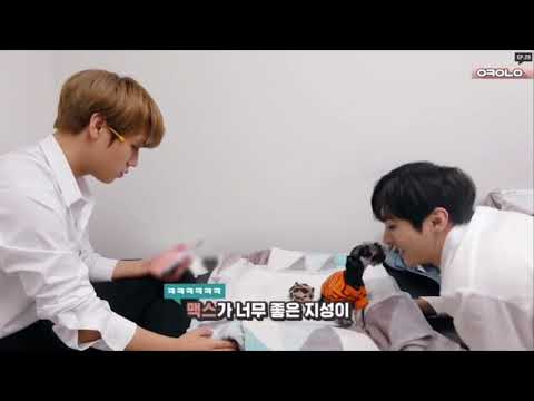 1019 Wanna One l 오케워너원 Ep.29 "BBQ 슈퍼콘서트 비하인드" 윤지성 cut