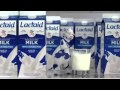 Lactaid Cow