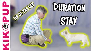 Building DURATION to STAY