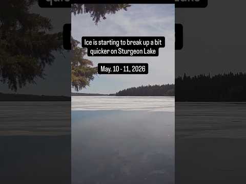 Ice starting to break up faster on Sturgeon Lake Saskatchewan - May 12, 2026