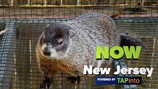 February 1, 2022 - Now in New Jersey Powered by TAPinto