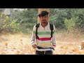 New Whatsup Video