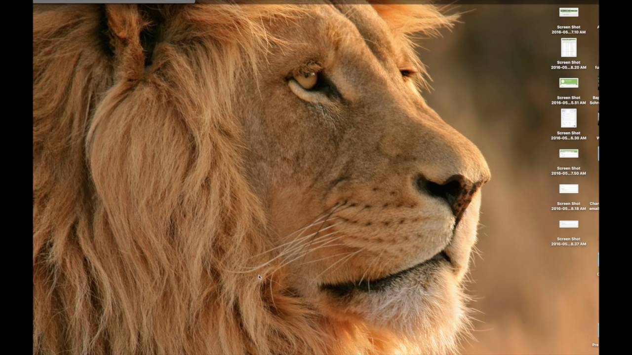 Planning Center Online Volunteer Tutorial