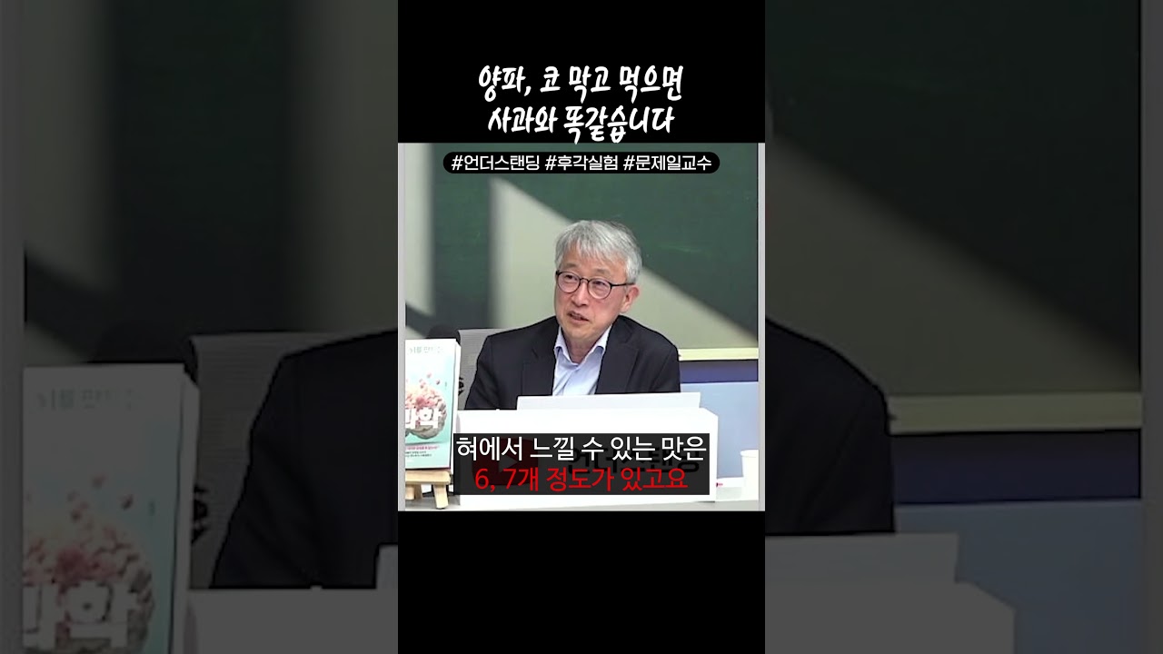 양파, 코 막고 먹으면 사과와 똑같습니다