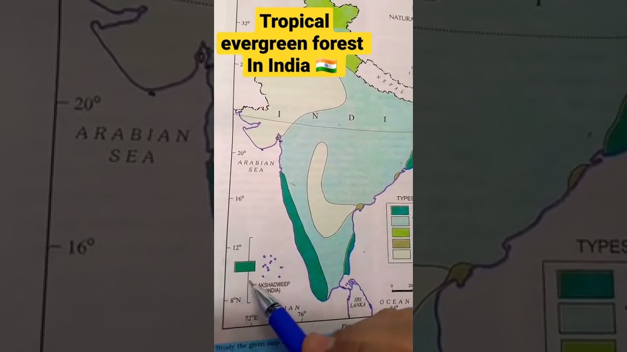 Tropical Evergreen 🌲 forest in India 🇮🇳  || #upsc #shorts