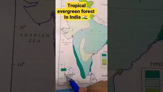 Tropical Evergreen 🌲 forest in India 🇮🇳  || #upsc #shorts