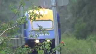 preview picture of video 'XPT Southbound at Bonville Creek May 2013'