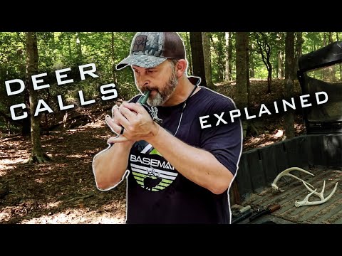Deer Sounds You Should Know! Fundamental Breakdown