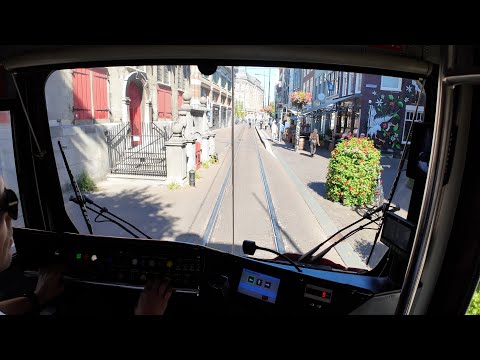 A tram ride through sunny The Hague to Scheveningen without passengers | 4K Tram Driver's POV