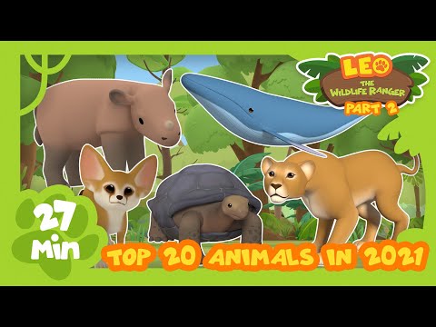 Top 20 Most Popular Animals from Season Two in 2021! Part 2! | Leo the Wildlife Ranger