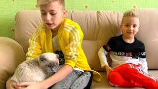 Бабушка СЛОМАЛА ногу. Наш ЖИРНЫЙ кот.