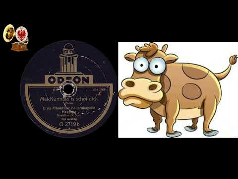 MEI KUNNALA IS SCHOI DICK - Erste Fränkische Bauernkapelle - Happurg (mit Gesang)