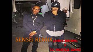 Chris Brown - Sensei Remix T.I (Lyrics)