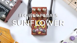 Video thumbnail for Flower Pedals Sunflower Deluxe Tremolo (Harmonic & Standard) by Pedalboard of the Day