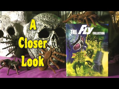 Closer Look - The Fly Collection