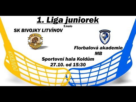 Highlights 1. liga juniorek: SK Bivojky Litvínov vs Florbalová akademie MB