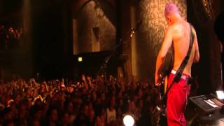 Red Hot Chili Peppers - Look Around - Live in Köln 2011 [HD]