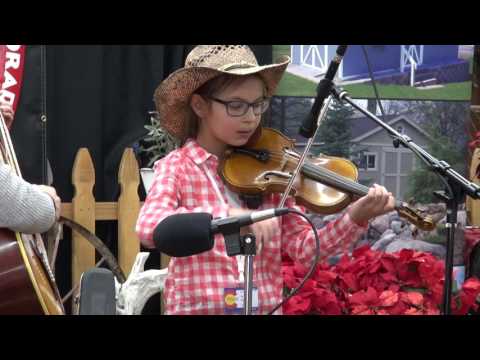 2017-01-07 JJ1 Wynn Rutberg - 2017 Colorado Fiddle Championships