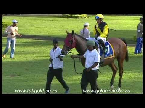 20180304 Greyville Race 7 won by HERO QUEST