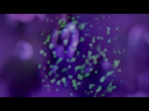 Zero89 - Konie (00nervy Remix)