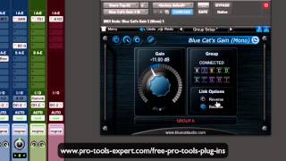 Video thumbnail for FREE Pro Tools Plug In Focus - Blue Cat Gain Suite by Production Expert