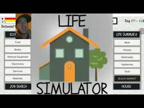 Life Simulator Video