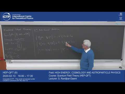 Quantum Field Theory - Lecture 8: Fermionic Functional Integrals and Determinant of Dirac Operator