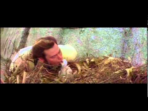 Ace Ventura When Nature Calls: Hungry Fella?