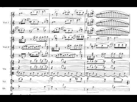 P. Vasks - Symphonie for Strings "Voices" [SCORE VIDEO]