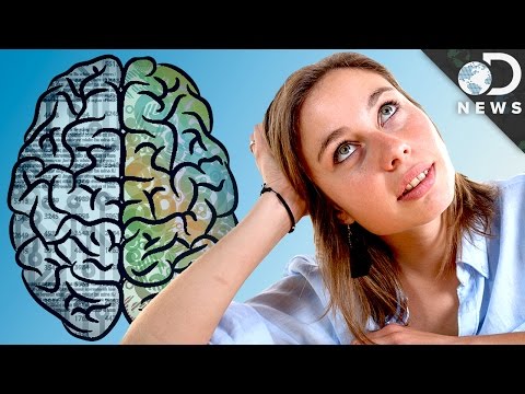 スペースアウトすると脳に何が起こるのか？ (What Happens To Your Brain When You Space Out?)