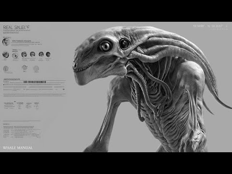 [FREE] do not resurrect x kiraw x tech house type beat "whale manual" p. outworld