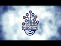 Noggin ID 2025 V2
