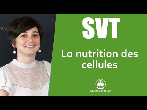 La nutrition des cellules - Les Bons Profs
