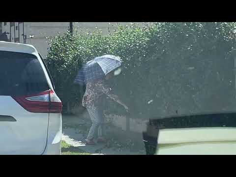 Neighbor Issue - 09-22-2022